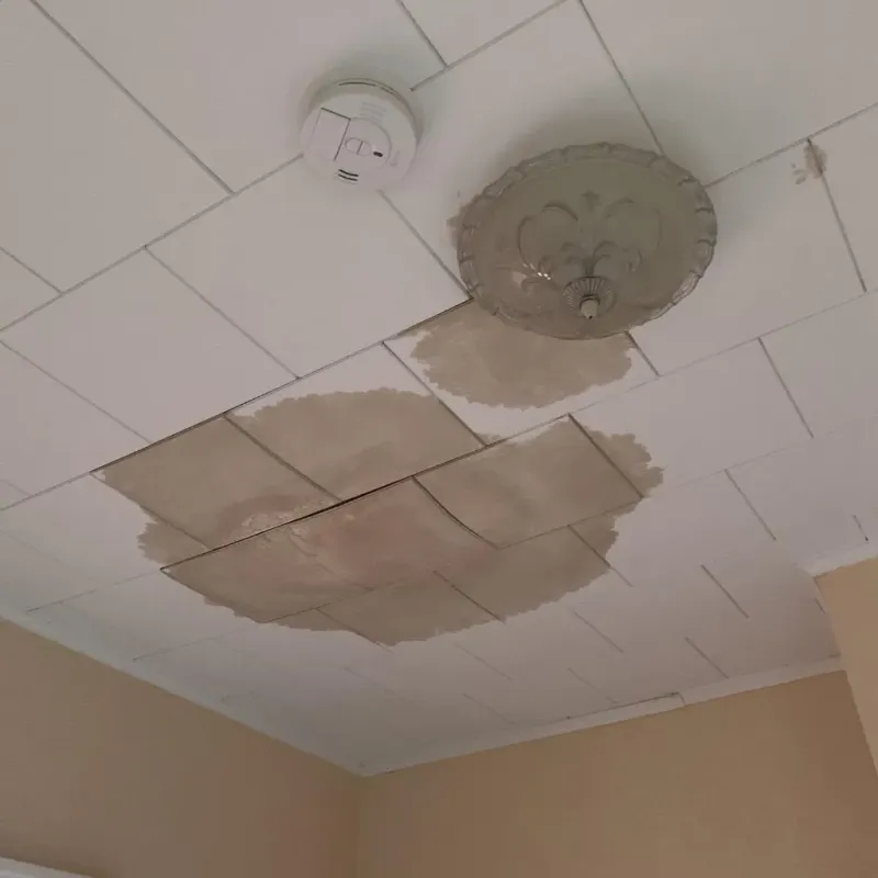 Ceiling Water Damage Repair in Tariffville, CT