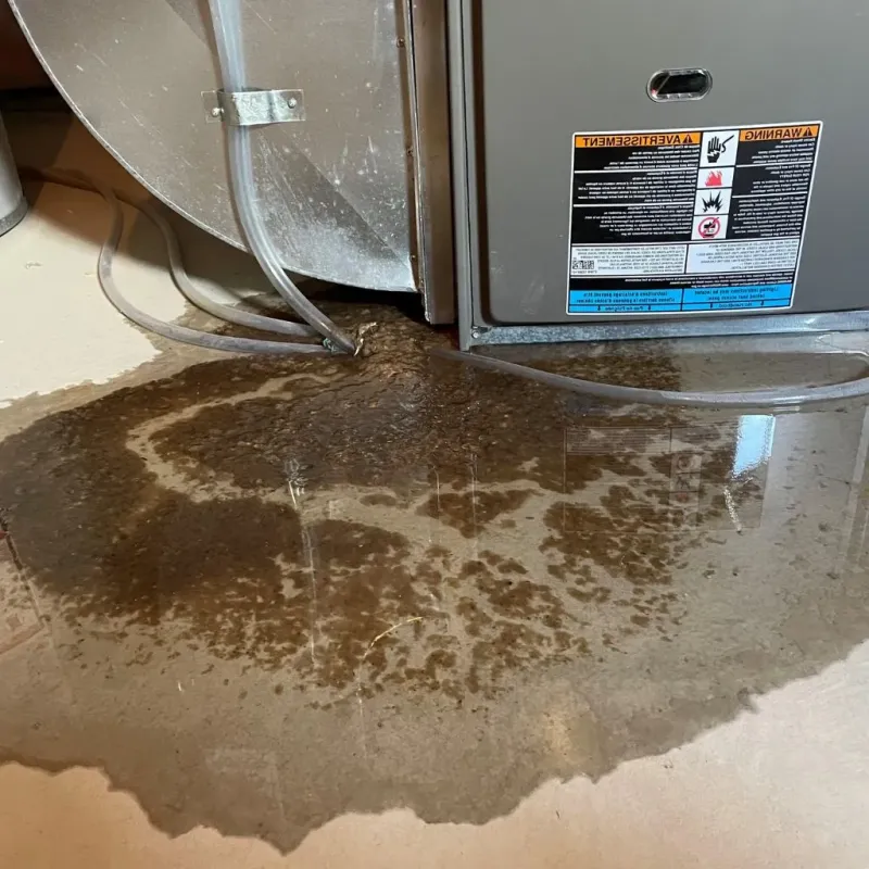 Pipe Burst and Leak Restoration in Tariffville, CT