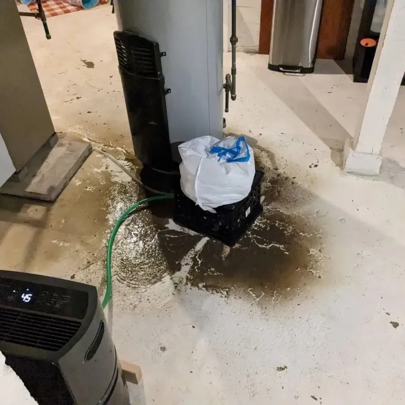 Sewage Backup Cleanup Service in Tariffville, CT